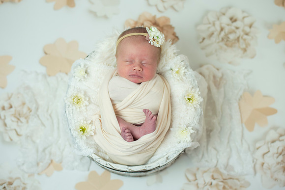 newborn Amelia