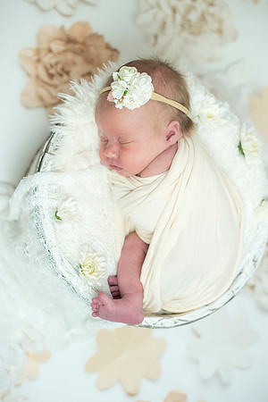 newborn Amelia