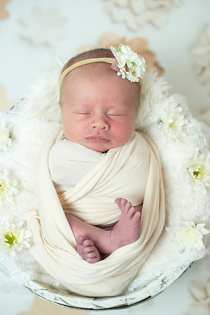 newborn Amelia