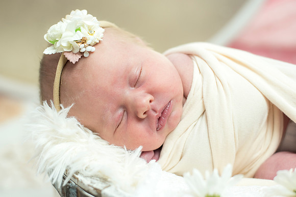 newborn Amelia