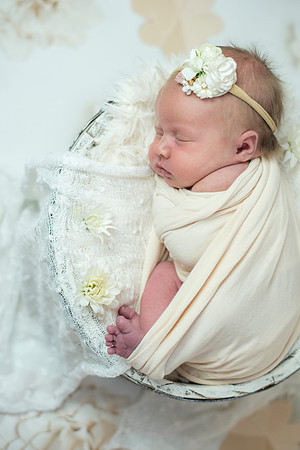 newborn Amelia