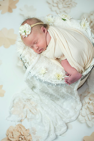 newborn Amelia