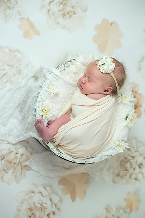 newborn Amelia