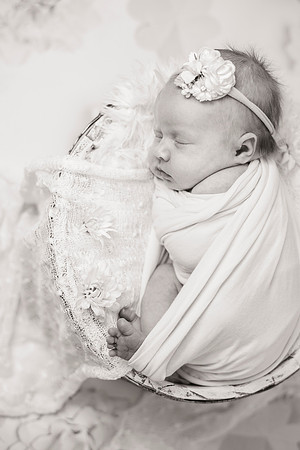 newborn Amelia