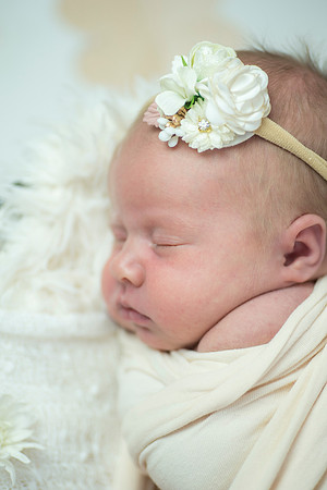 newborn Amelia