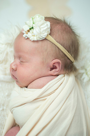 newborn Amelia