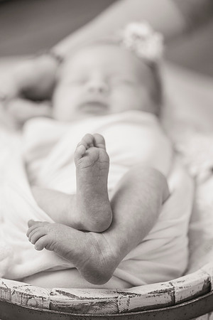 newborn Amelia