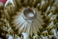 Halim Wu wedding