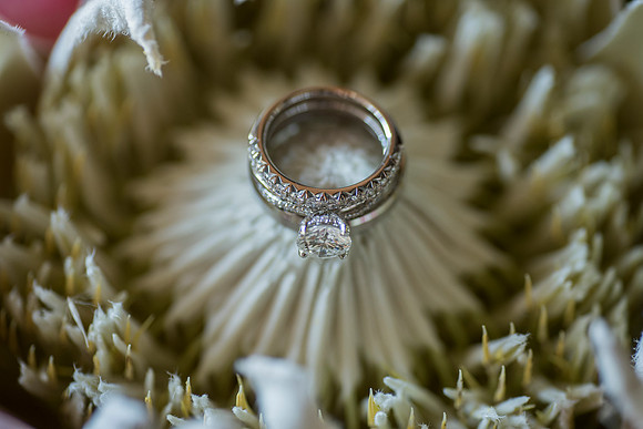 Halim Wu wedding