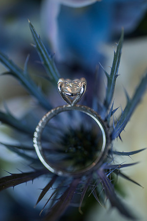 Julie and Ryan's Pen Ryn wedding
