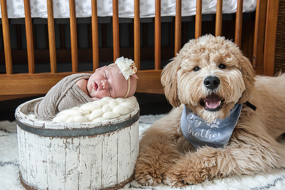 baby Nora newborn