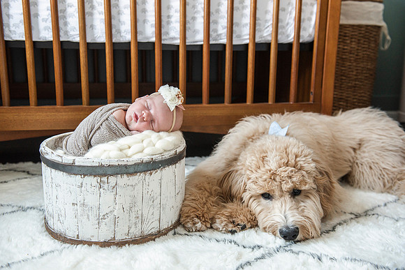baby Nora newborn
