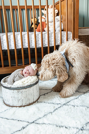 baby Nora newborn