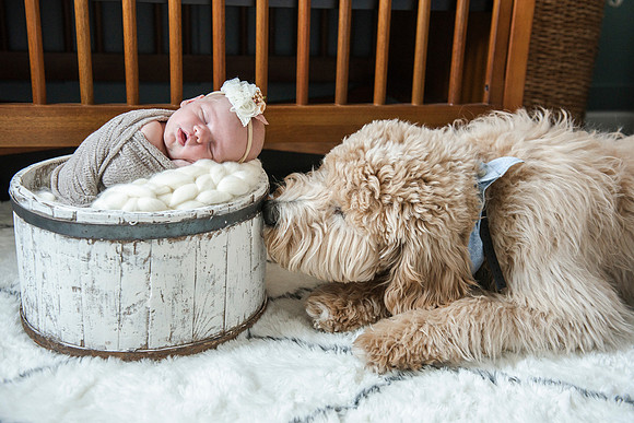 baby Nora newborn