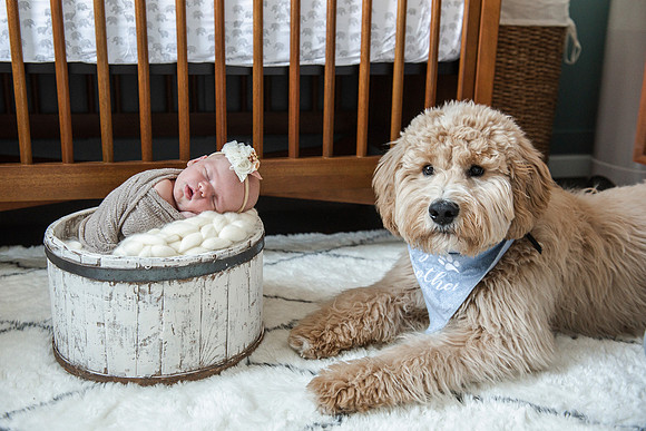 baby Nora newborn