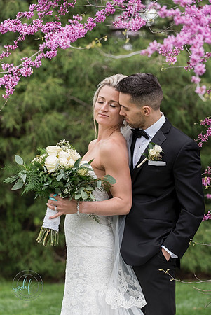Abby and Adam blog