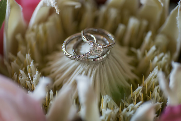 Halim Wu wedding
