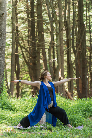 Jana yoga book
