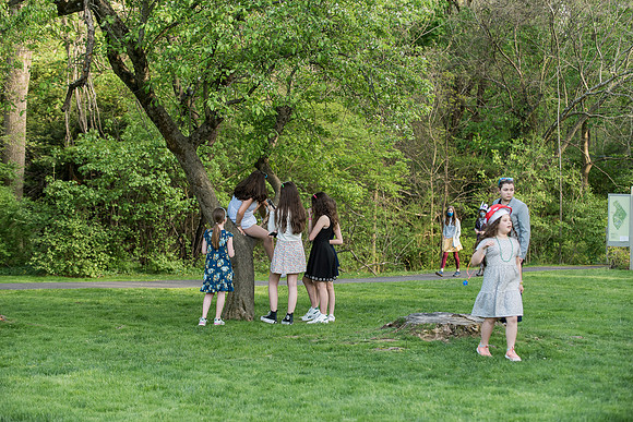 Amanda's Bat Mitzvah