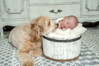 Baby Thomas