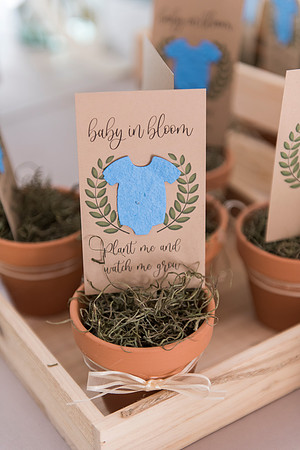 Lapnas baby shower