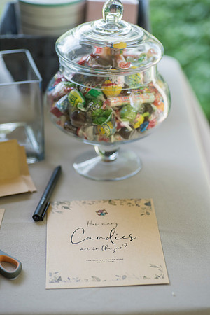 Lapnas baby shower