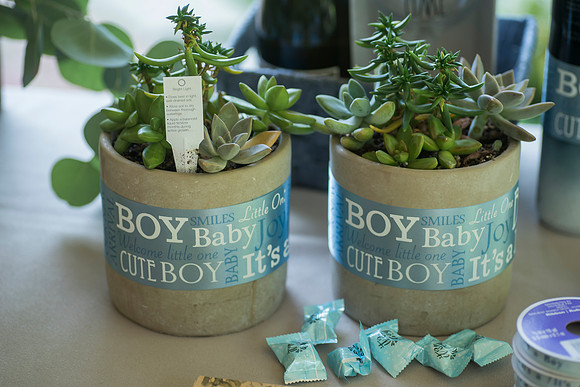 Lapnas baby shower