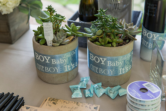 Lapnas baby shower
