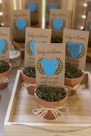 Lapnas baby shower