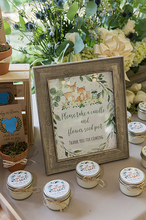 Lapnas baby shower