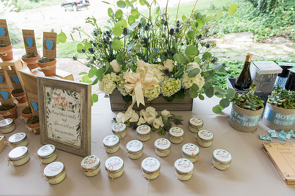 Lapnas baby shower