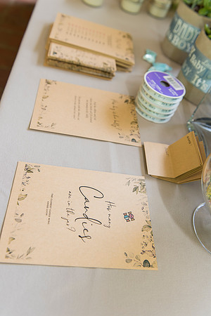 Lapnas baby shower