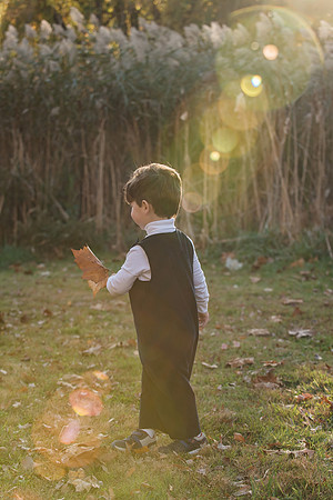 The Willows golden hour family session 2024
