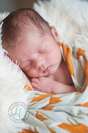 newborn Hudson