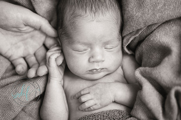 newborn Hudson