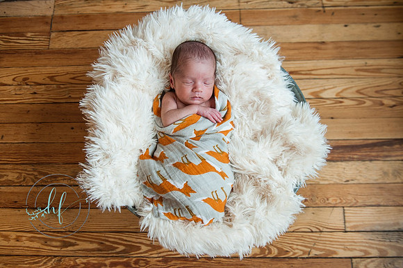 newborn Hudson