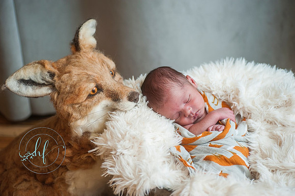 newborn Hudson