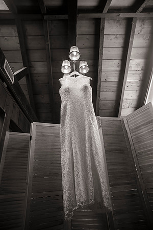 Aaron and Shauna's wedding