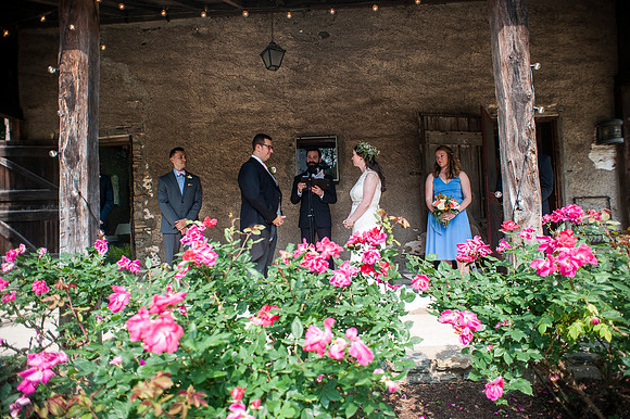 Aaron and Shauna's wedding