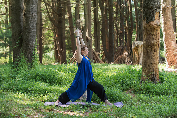 Jana yoga book