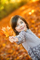 2024 fall image