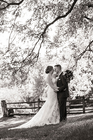 Holly and Ian's wedding