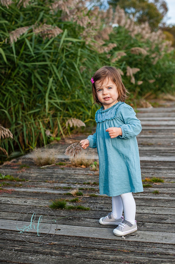 fall family sessions 2019