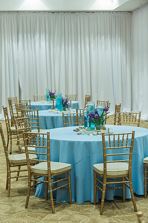 Summer's Bat Mitzvah