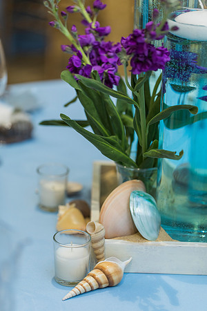 Summer's Bat Mitzvah