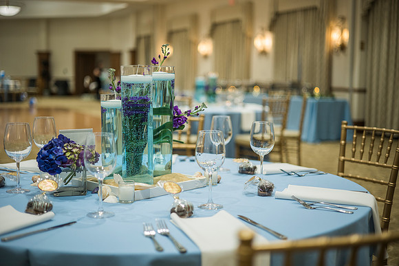 Summer's Bat Mitzvah