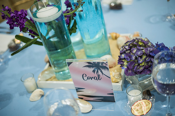 Summer's Bat Mitzvah