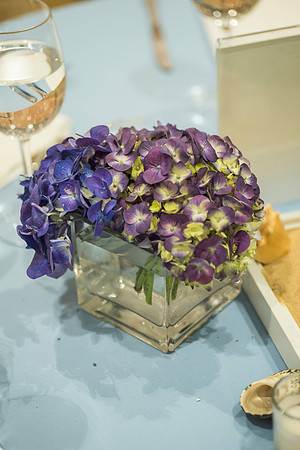Summer's Bat Mitzvah