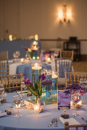 Summer's Bat Mitzvah