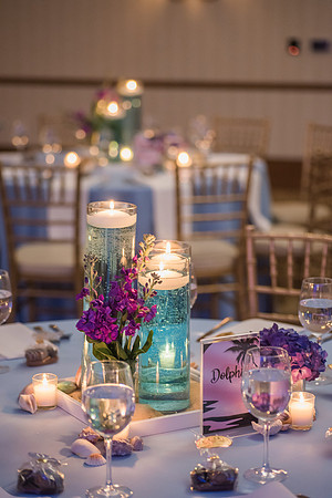 Summer's Bat Mitzvah
